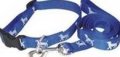 Leash + Collar