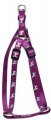 Harness + Leash (Style A)