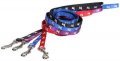 Harness + Leash (Style H)