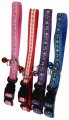 Leash + Collar