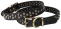 Collars