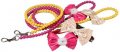 Fancy Collar with Leash