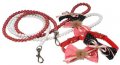 Fancy Collar with Leash