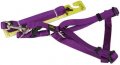 Harness + Leash (Style A)