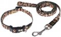 Leash + Collar