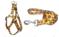 Harness + Leash (Style A)