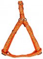 Harness + Leash (Style A)