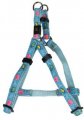 Harness + Leash (Style A)