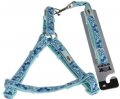 Harness + Leash (Style A)