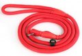 Choke Collar with Leash