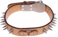 Smart Collar