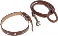 Leash + Collar