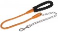 Leash