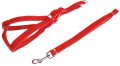 Harness + Leash (Style A)