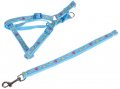 Harness + Leash (Style A)