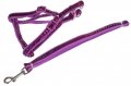 Harness + Leash (Style A)