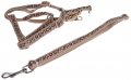 Harness + Leash (Style A)