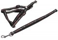 Harness + Leash (Style A)