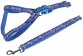 Harness + Leash (Style A)