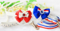 Fancy Collar with Leash