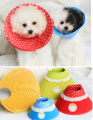 Elizabethan Collar