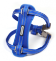 Harness (Style 8)