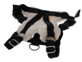 Harness (Style H)