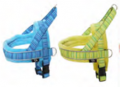Trainning Leash