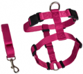 Leash