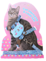 Cat Collar