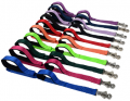 Leash