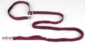 Leash