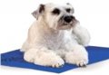 Bed, Pad