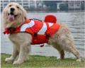 Raincoat, Life Jacket