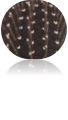 Pet Comb