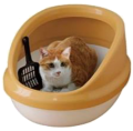 Toilet Tray For Cat