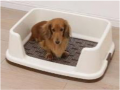 Toilet Tray For Dog