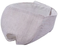 Elizabethan Collar
