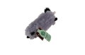 Dog Toys