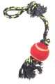 Dog Toys