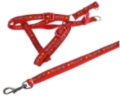 Leash