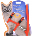 Leash