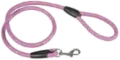 Leash