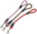 Leash