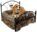 Bed, Pad