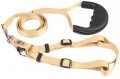 Harness + Leash (Style A)