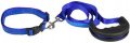 Leash + Collar