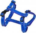 Harness + Leash (Style H)