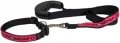 Leash + Collar