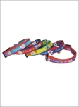 Leash + Collar